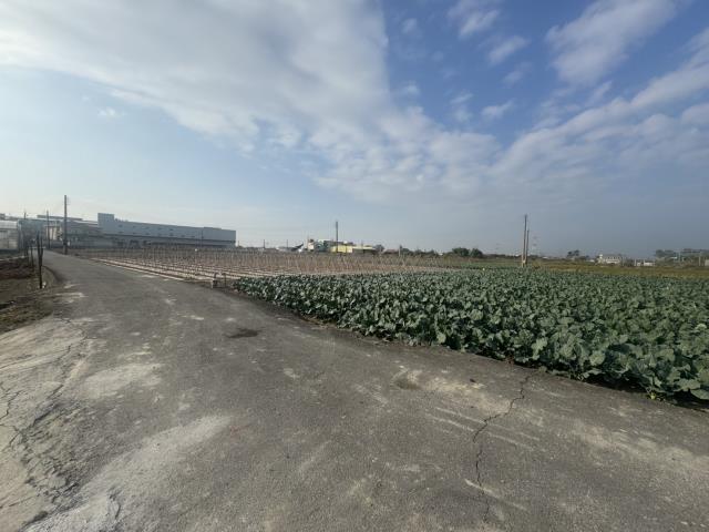 高雄路竹農地-0