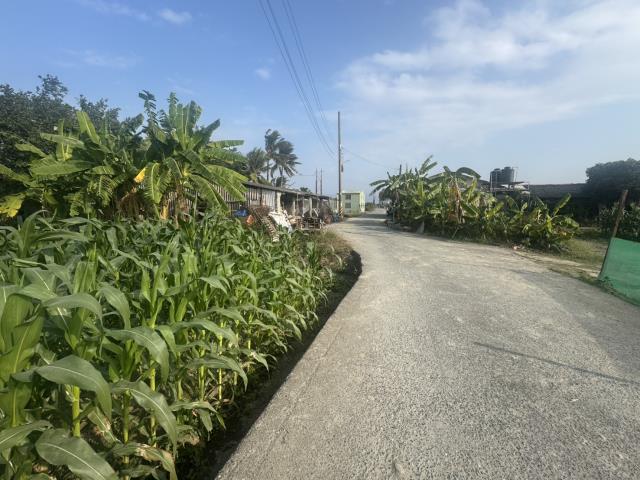 高雄路竹農地-9