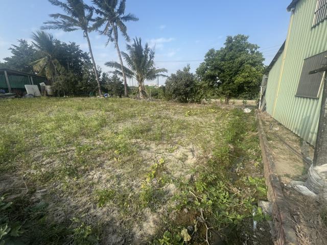 高雄路竹農地-4