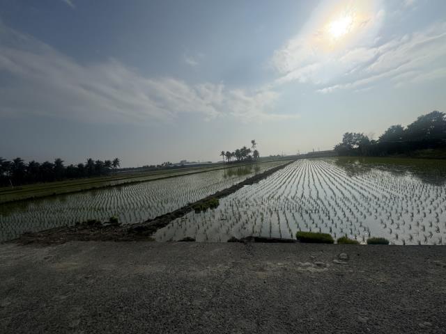 高雄路竹農地-6