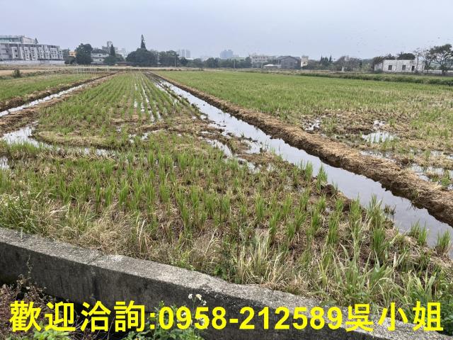 湖口農地-10