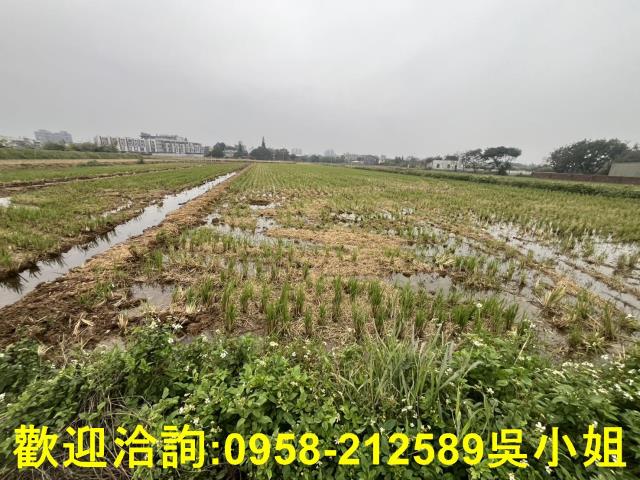 橫山梢楠莊園全新鋼構木屋A