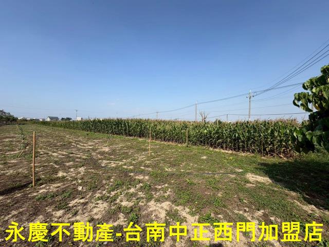 鹽水農地-13