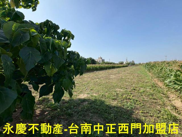 台南土地買房南科台積電區段徵收農地特定ABC區一