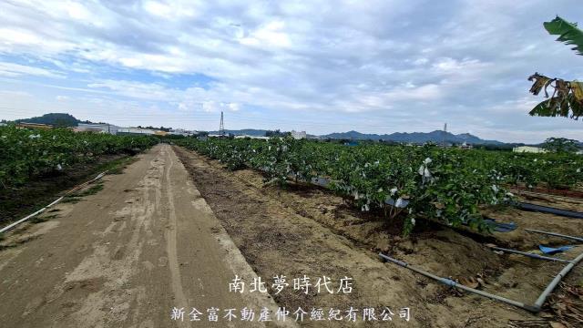 高雄農地-7