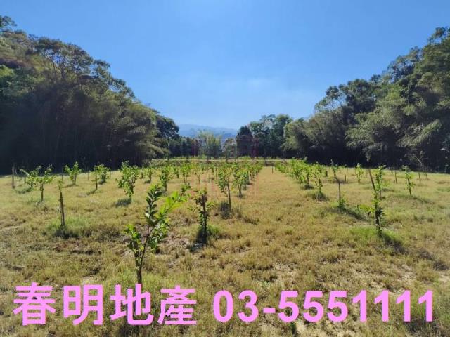 苗栗農地-0