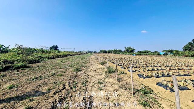 台南土地買房專新化頂山腳一般優質美農地