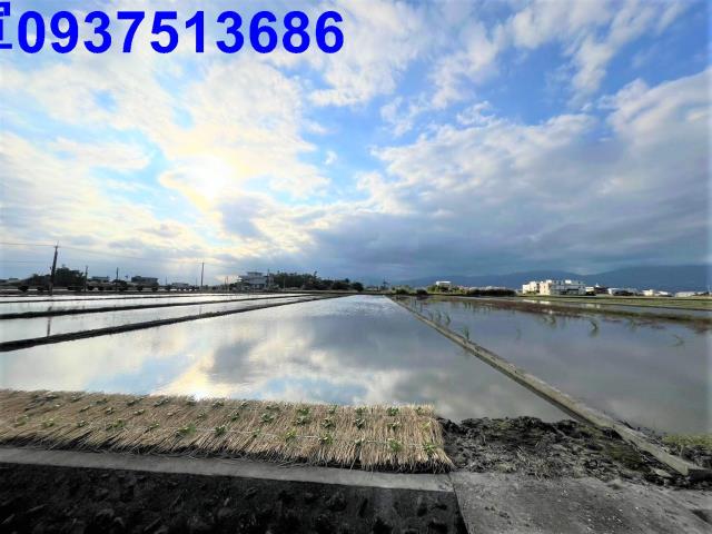 宜蘭縣壯圍鄉五權段農地出售