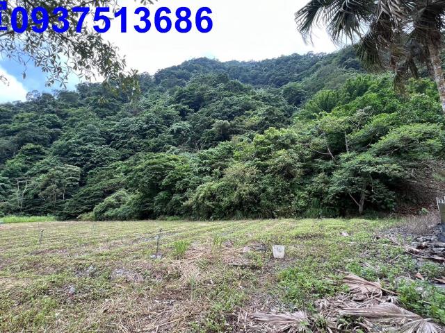 宜蘭員山農地-2