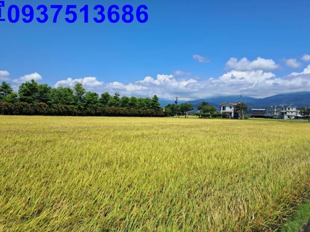 宜蘭縣壯圍鄉吉祥一段農地出售