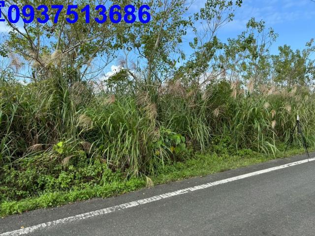 宜蘭縣壯圍鄉新南段農地出售