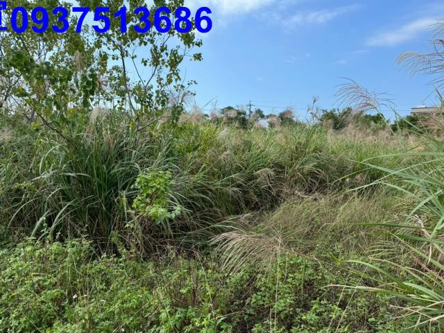 宜蘭壯圍農地-8