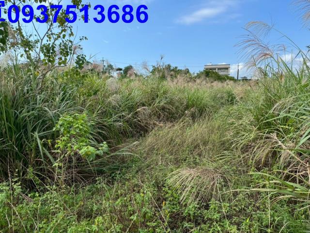 宜蘭壯圍農地-9