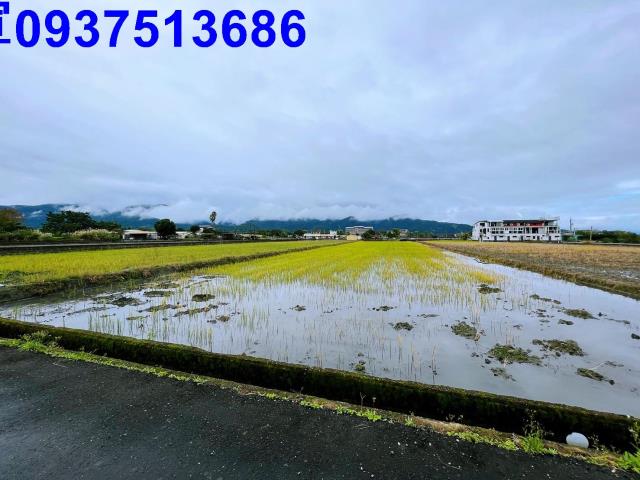 宜蘭縣壯圍鄉壯志段農地出售