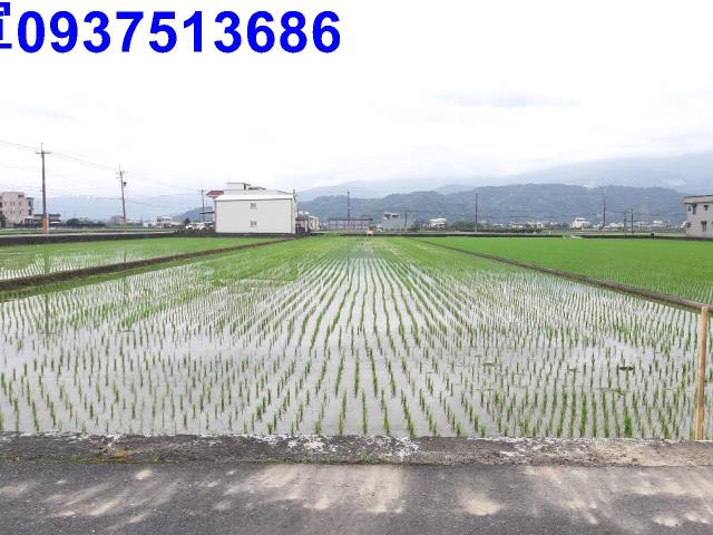 宜蘭礁溪農地-8