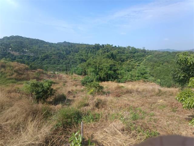 高雄大樹農地-5