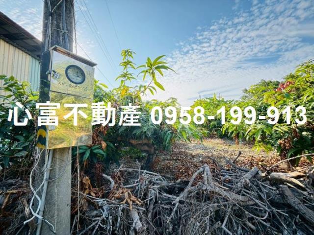 高雄燕巢農地-2