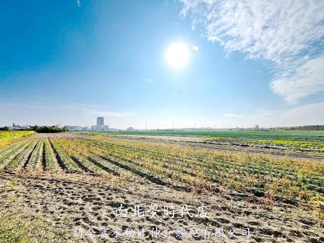 台南安南農地-7