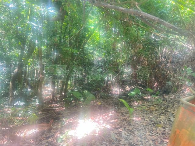 高雄內門農地-5