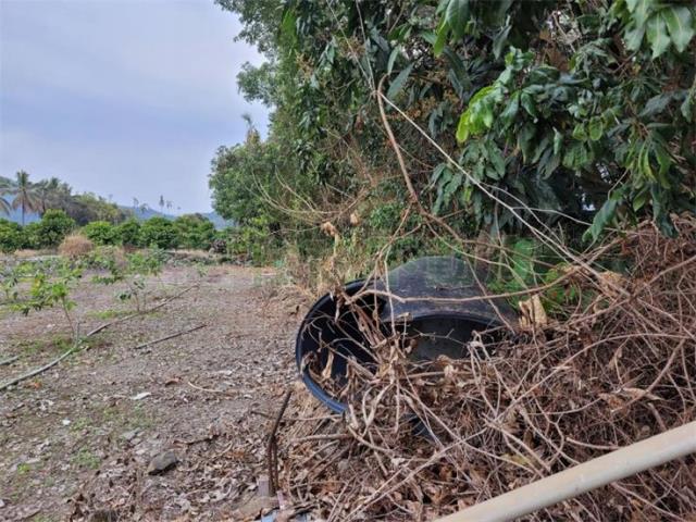 高雄六龜農地-4