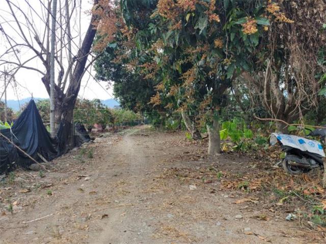 高雄六龜農地-7