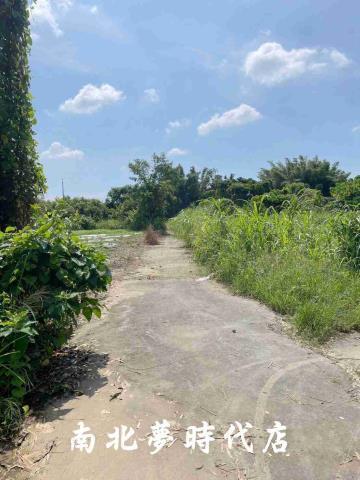 大內農地-5