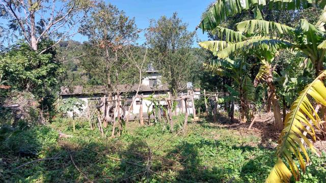 新竹新埔農地-10