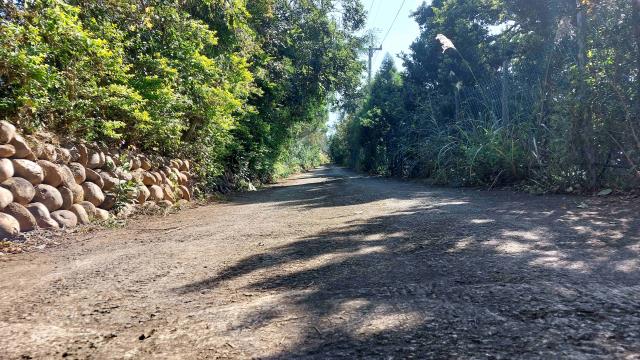 新竹新埔農地-13