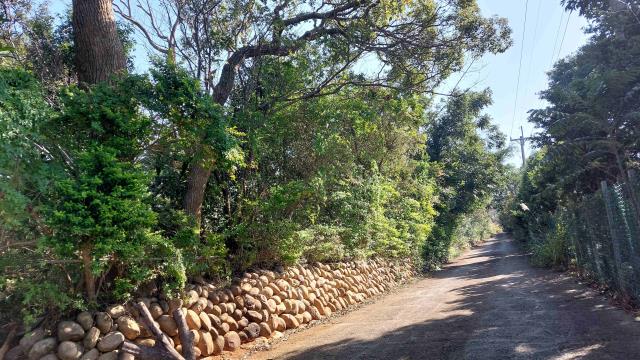 新竹新埔農地-14