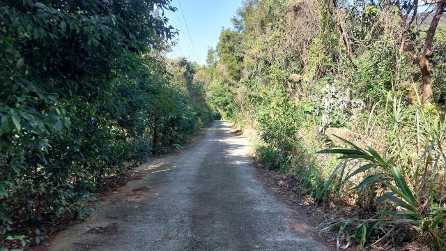 新竹新埔農地-2