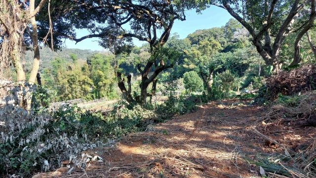 新竹新埔農地-3