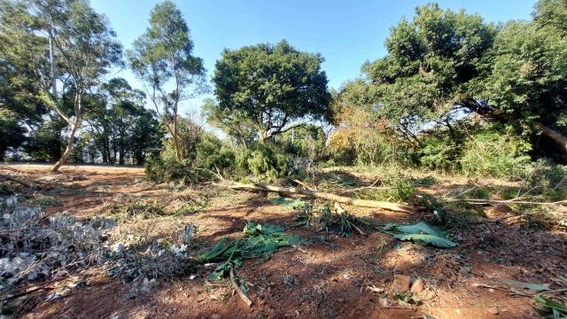 新竹縣湖口鄉德盛段平坦農地春明地產035551111