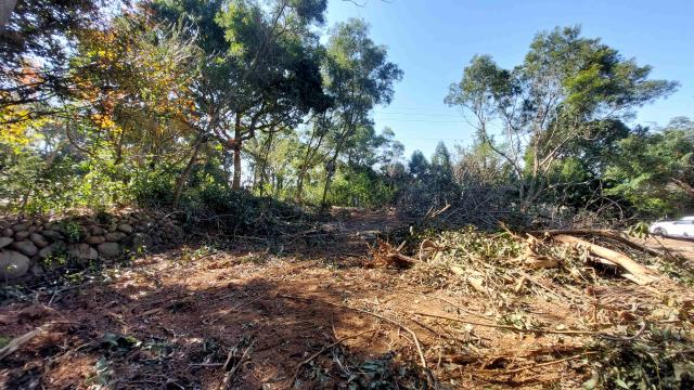 新竹新埔農地-8