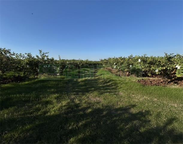 高雄美濃農地-5