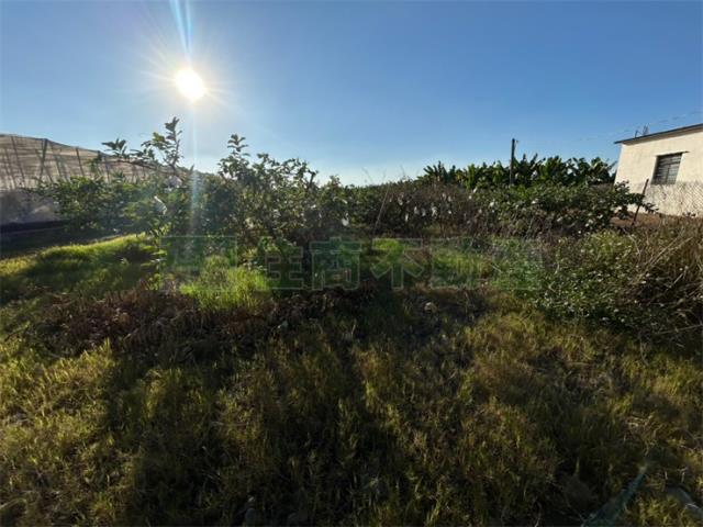 高雄美濃農地-7