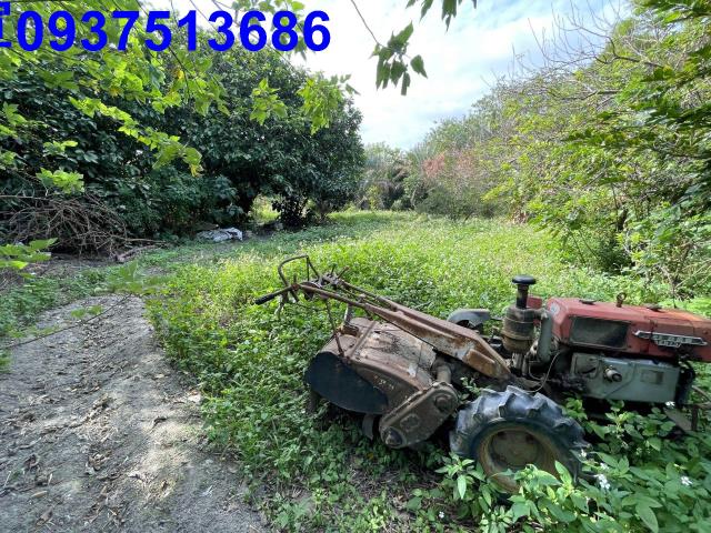 新竹竹北農地-11