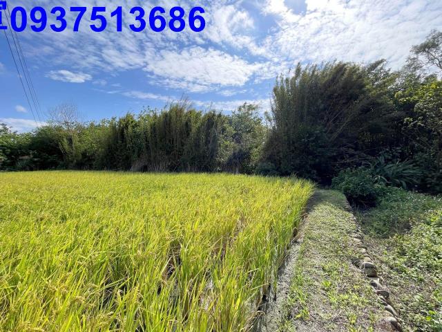 新竹竹北農地-5