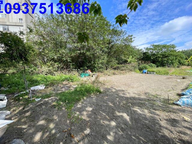 新竹竹北農地-7