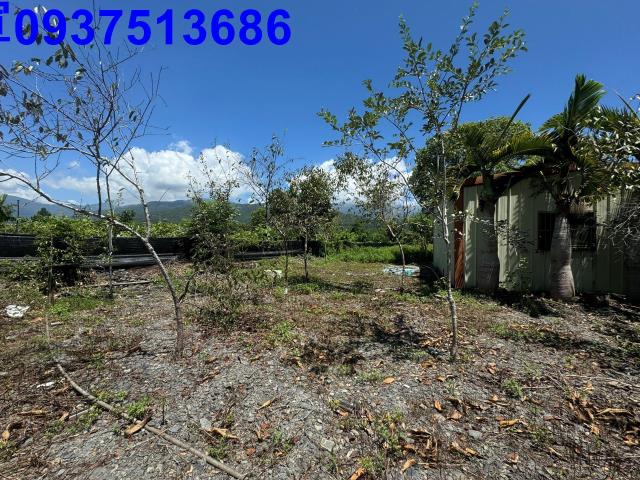 宜蘭礁溪農地-12