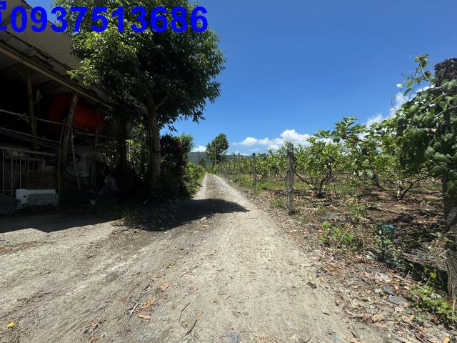 宜蘭礁溪農地-1