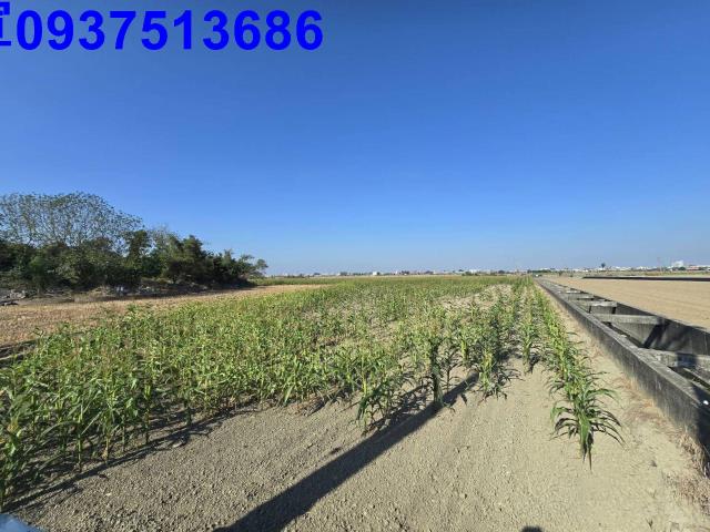 嘉義新港農地-8