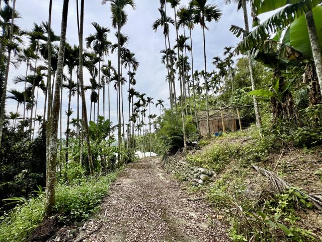 南投草屯農地-10