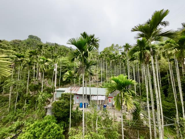 南投草屯農地-2