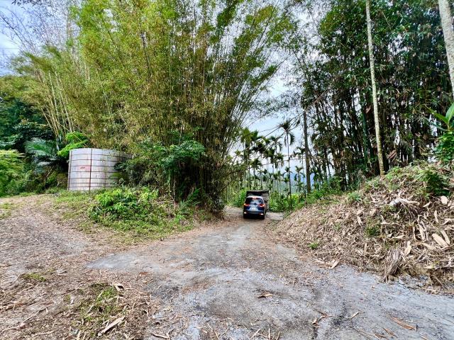 南投草屯農地-8