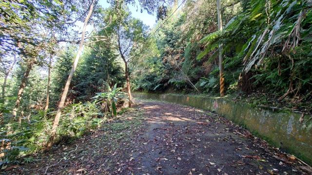 新竹橫山農地-2