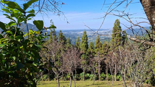 新竹橫山農地-5