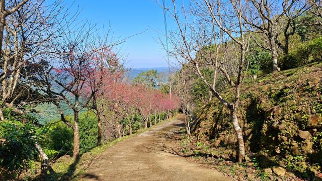 新竹橫山農地-6