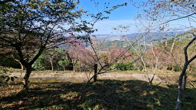 新竹橫山農地-7