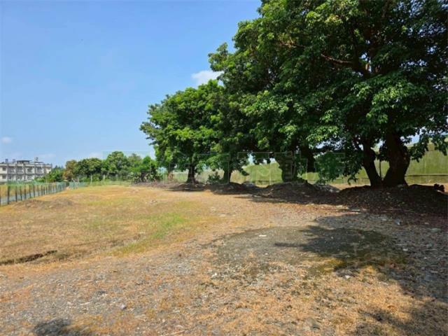 屏東高樹農地-9