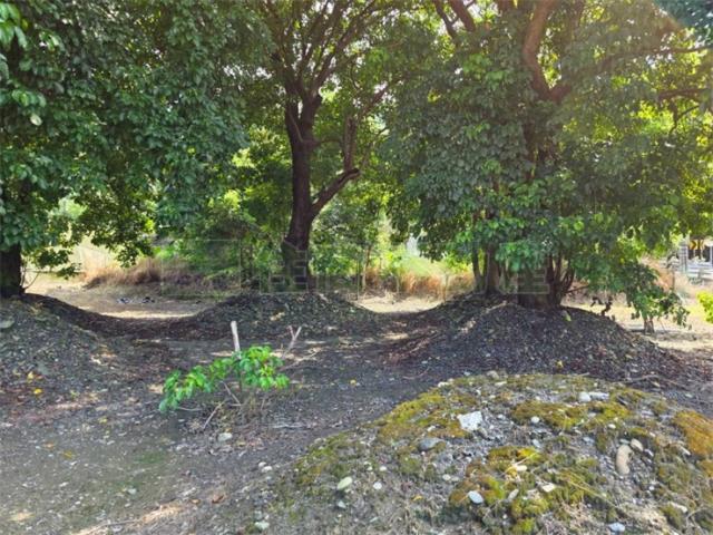 屏東高樹農地-10